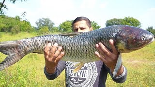 BUYING amp COOKING BIG FISH  BEST FISH RECIPE  FISH CURRY INDIAN RECIPE [upl. by Gudrun]