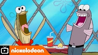 SpongeBob SquarePants  Fortune Cookies  Nickelodeon UK [upl. by Moria]