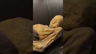 We Found Mummies 100 plus years of Mummies in Mexico shorts ancient [upl. by Lubeck776]