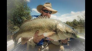 Murray Cod Hits Hookups Misses Vol 2 [upl. by Ilime348]