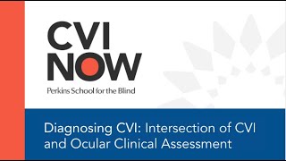 Diagnosing CVI CVI and the Low Vision Clinical Assessment [upl. by Bainter]