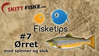 Fisketips 7 med Skitt Fiske  Ørretfiske med sluk og spinner [upl. by Obeded35]