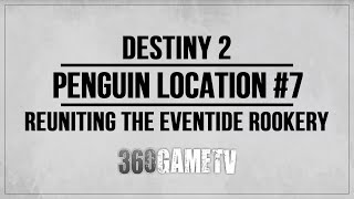 Destiny 2 Penguin Location 7  Nexus  Reuniting the Eventide Rookery Triumph Part 7 [upl. by Brocklin]