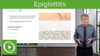 Infections of the Upper Pediatric Airway Epiglottitis – Pediatric Infectious Diseases  Lecturio [upl. by Cattier437]