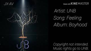 UNB  Feeling Audio [upl. by Meagan]