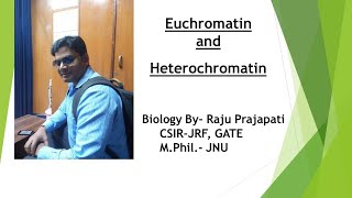 Euchromatin amp Heterochromatin [upl. by Zetnahs]