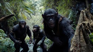 PLANETA DOS MACACOS O REINADO FILME DE AÇÃO E FICÇÃO DE 2024 REVIEW DETALHADO [upl. by Pol]