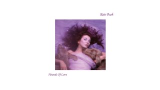 Kate Bush  Cloudbusting Instrumental [upl. by Atiuqahc65]