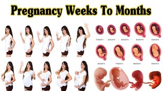 Pregnancy Weeks To Months  1 To 9 Weeks Fetal Developments [upl. by Eatnohs]