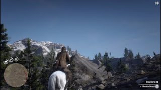 RDR2Hooded OrioleLocation [upl. by Zara]