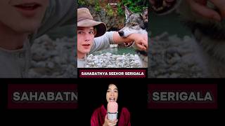 Sahabat Sejatinya Yaitu Seekor Serigala [upl. by Rhody]