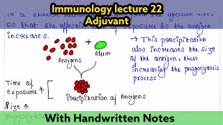 Adjuvant  Immunology lecture 22  Readymade notes for exam [upl. by Vaish]