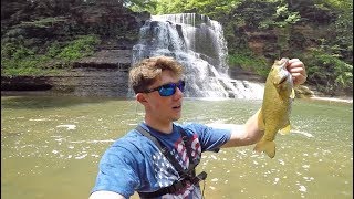 We Found a RARE Fish In The Creeks Fishing Giant Waterfalls [upl. by Anial]