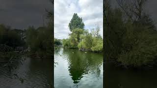 Deep in the Forest  Brooksland Lake Dartford lake water forest woods fishing uk england [upl. by Caswell]