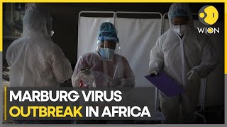 Marburg virus US health body warns travellers to observe symptoms for 21 days  WION [upl. by Junette]