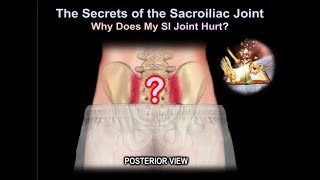 sacroiliac Joint pain why it Hurts  Everything You Need To Know  Dr Nabil Ebraheim [upl. by Murray55]