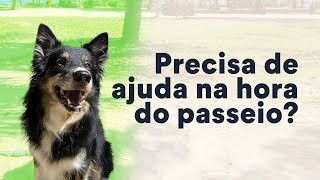 Dificuldades no passeio com cachorro Confira dicas  Petz TV Comportamento [upl. by Ireg694]