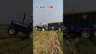 khetibadi jattmind tractorvideo jattlife hardwork tractorvideo stunt amazing holland [upl. by Frey]