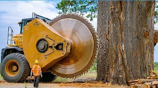 Extreme Dangerous Fastest Big Chainsaw Cutting Tree Machines  Monster Stump Removal Excavator 30 [upl. by Riaj]