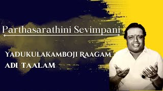 Parthasarathini Sevimpani  quotPadmashriquot Dr Sirkazhi S Govindarajan  Yadukulakamboji Raagam [upl. by Annayat]