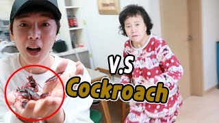 HILARIOUS COCKROACH PRANK ON MY MOM  엄마한테 바퀴벌레 몰카하기ㅋㅋㅋ [upl. by Dunham976]