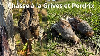 Chasse à la Grives et Perdrix [upl. by Galang]