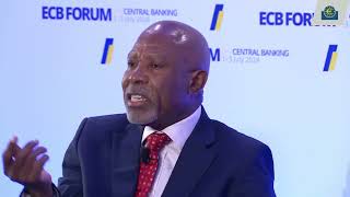 Governor Lesetja Kganyago in conversation with President of central bank of Netherlands Klaas Knot [upl. by Trilbi]