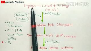 Production of streptomycin by fermentation  Procedure involved  Bio science [upl. by Nagud]