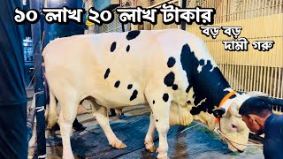 ৩০ লক্ষ টাকার বিশাল বিশাল বড় বড় অস্ট্রাল গরু  কালো বিশাল গরু  হাসা হেভিওয়েট দামুর মহম্মদপুরে [upl. by Pals536]