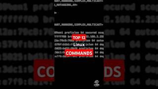 12 MustKnow Linux Networking Commandslinuxcommands linux cybersecurity [upl. by Zarihs]