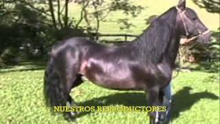 criadero villa patricia2wmv [upl. by Mazlack]