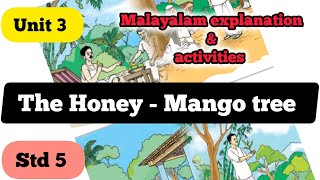 The Honey  Mango Tree Unit 3 Class 5 English ENGLISH MASTER [upl. by Yrrot709]