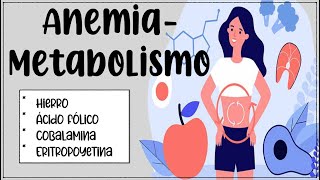 Anemia 🩸 Metabolismo del hierro folato y cobalamina 🍓🍊🧀🥬🫐🍆 [upl. by Audy]