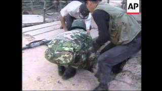 THAILAND THAI SOLDIER KILLED IN CAMBODIAN CONFLICT [upl. by Debo606]