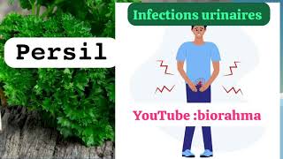 infections urinaires [upl. by Sheline494]