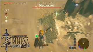 Average first encounter with Molduking in Legend of Zelda breath of the wild zelda [upl. by Reffinej]