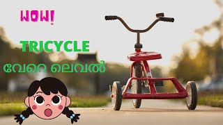 Best Tricycle for Baby  Luvlap Elegant Kids Tricycle  Kids Cycle  Best Baby Tricycle Review [upl. by Nedac]