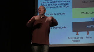 7  Conférence Transurfing en Français par Olivier Masselot  lintention externe [upl. by Bordie746]