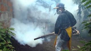 VIDEOS FUMIGACION CONTRA DENGUE 1 [upl. by Harrison]