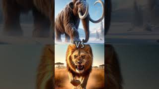 Mammoth Vs Lion Vs Animals Cheetah hyenas rhino Black panther💀💀 [upl. by Jere]