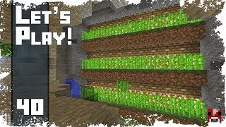 Minecraft Timelapse  SURVIVAL LETS PLAY  Ep 40  SUGARCANE FARM WORLD DOWNLOAD [upl. by Hsemar]