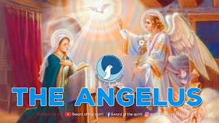 ANGELUS PRAYER IN ENGLISH  SWORD OF THE SPIRIT  CATHOLIC FAITH  MOTHER MARY [upl. by Rehpotsrihc]