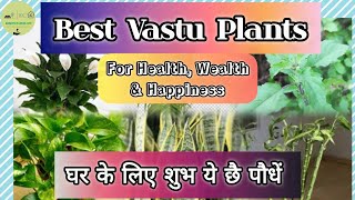 Boost Your Wealth with Vastu Plants [upl. by Secundas987]