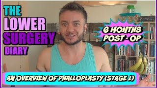 FTM phalloplasty lower surgery overview  stage 1 [upl. by Enowtna]