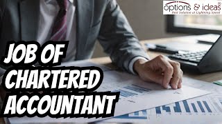 The Truth About Chartered Accountant Careers [upl. by Eicart706]