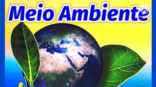 Vídeo Aula  O MEIO AMBIENTE  Conceito Importância Problemas e Preservação [upl. by Rogerio]