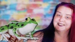 Needle Felting Animals tutorial A Frog Sculpture [upl. by Gilford]