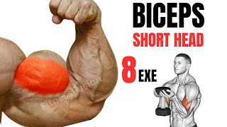 8 BEST SHORT HEAD EXERCISES FOR BIGGER ARMS  BICEPS [upl. by Ahseital716]