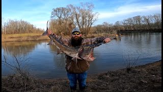 Snagging MASSIVE Fish Paddlefish and Carp [upl. by Naarah]