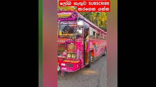 දම් රැජිණිට කැමති සෙට් එක කෝ😄❤bus trendingshorts [upl. by Nylzzaj974]